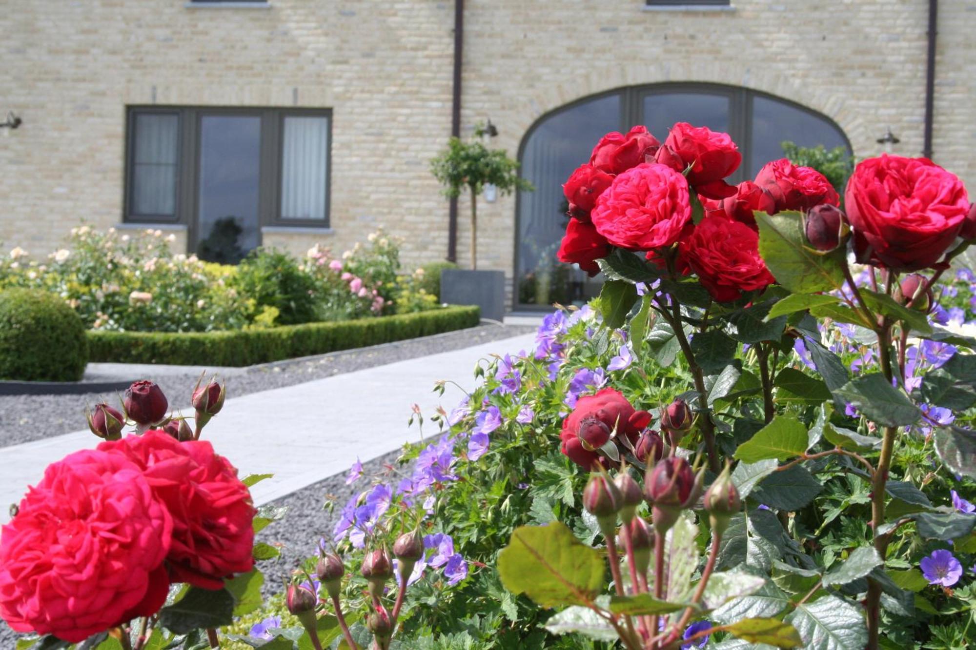 B&B La Vie En Roses Moorsel Exterior foto