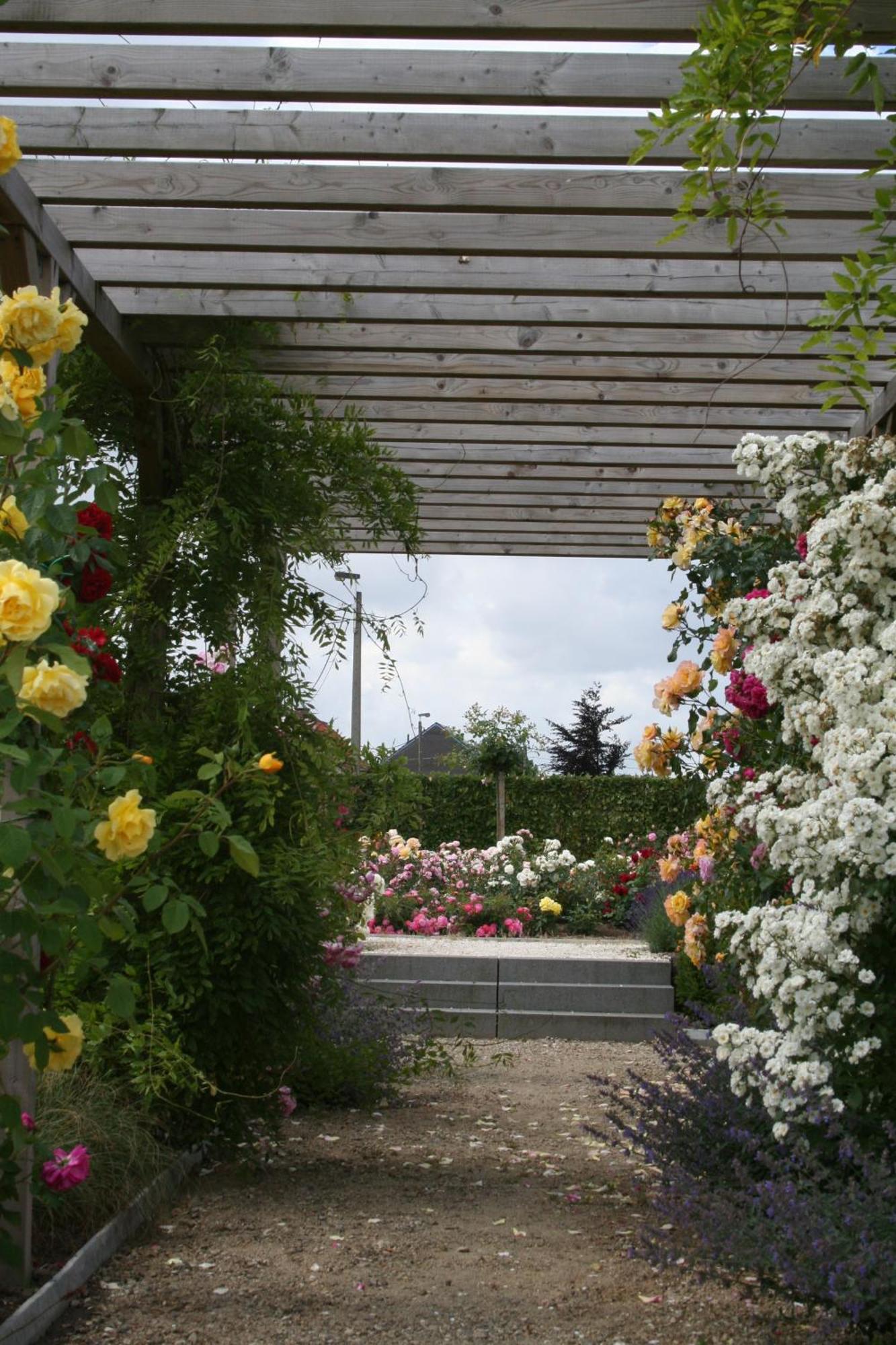 B&B La Vie En Roses Moorsel Exterior foto