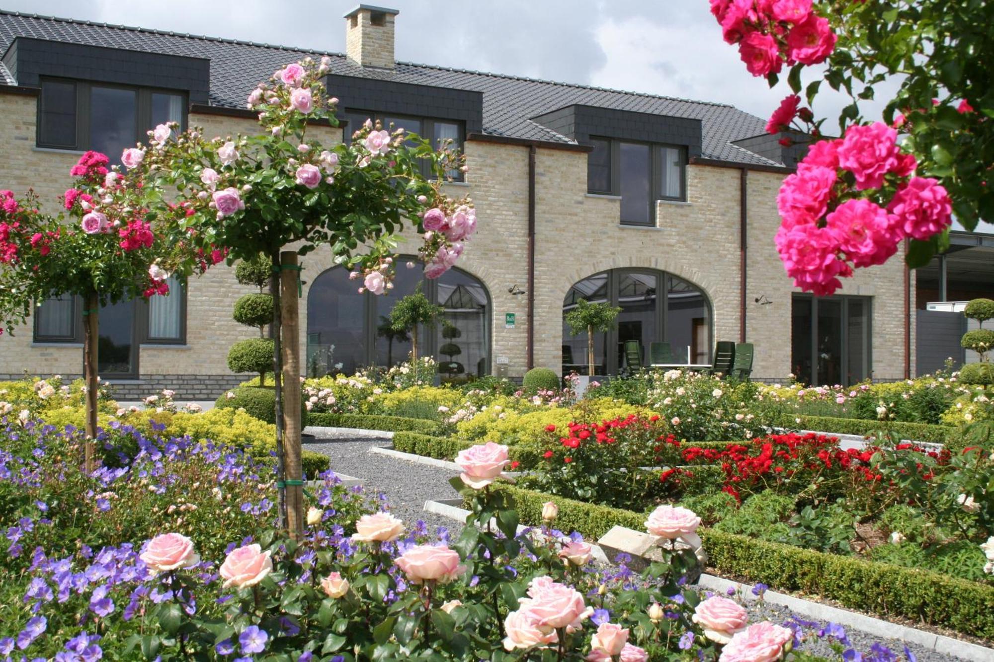 B&B La Vie En Roses Moorsel Exterior foto