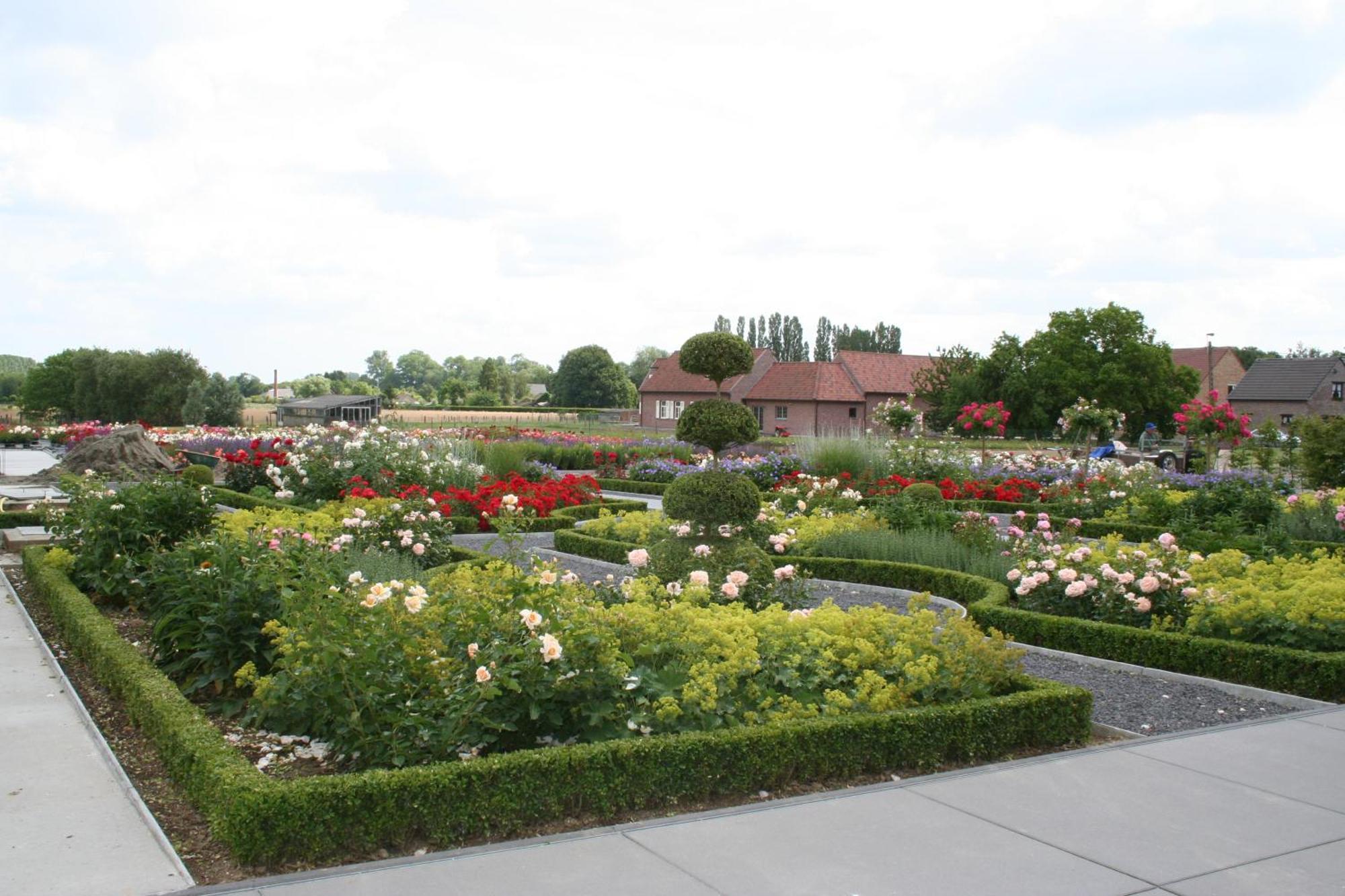 B&B La Vie En Roses Moorsel Exterior foto