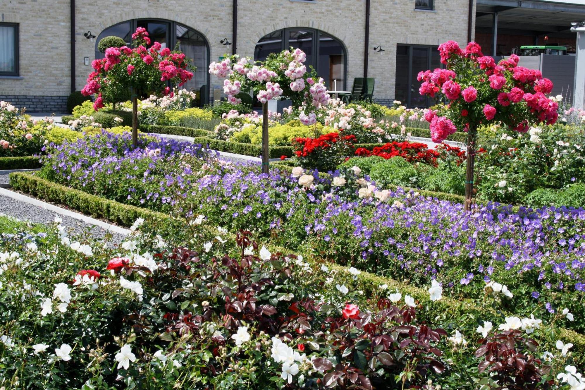 B&B La Vie En Roses Moorsel Exterior foto